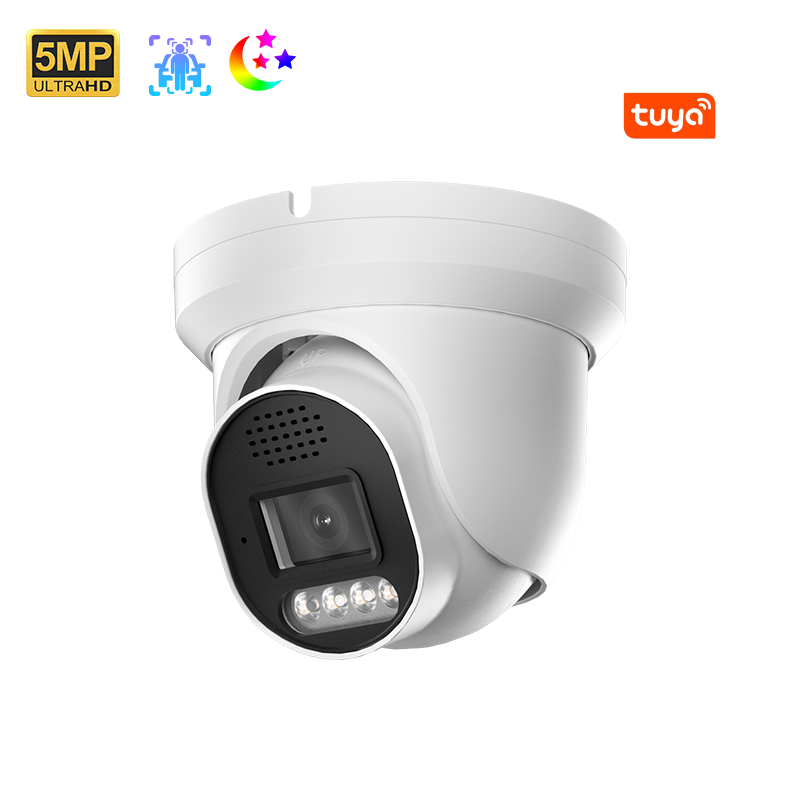 InLifeCam Tuya Smart APP WI-FI/POE Turret Dome Ip Camera Metal Human/vehicle Detection