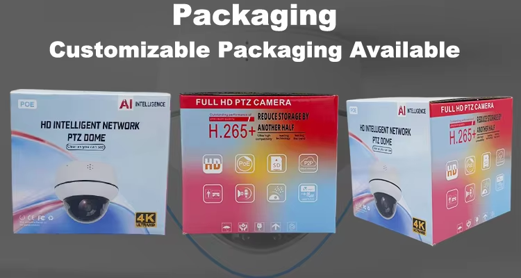 5MP Full Color Night Vision Camera 4X Zoom PTZ Camera IP66 POE Camera AI Human Vehicle Detection CCTV